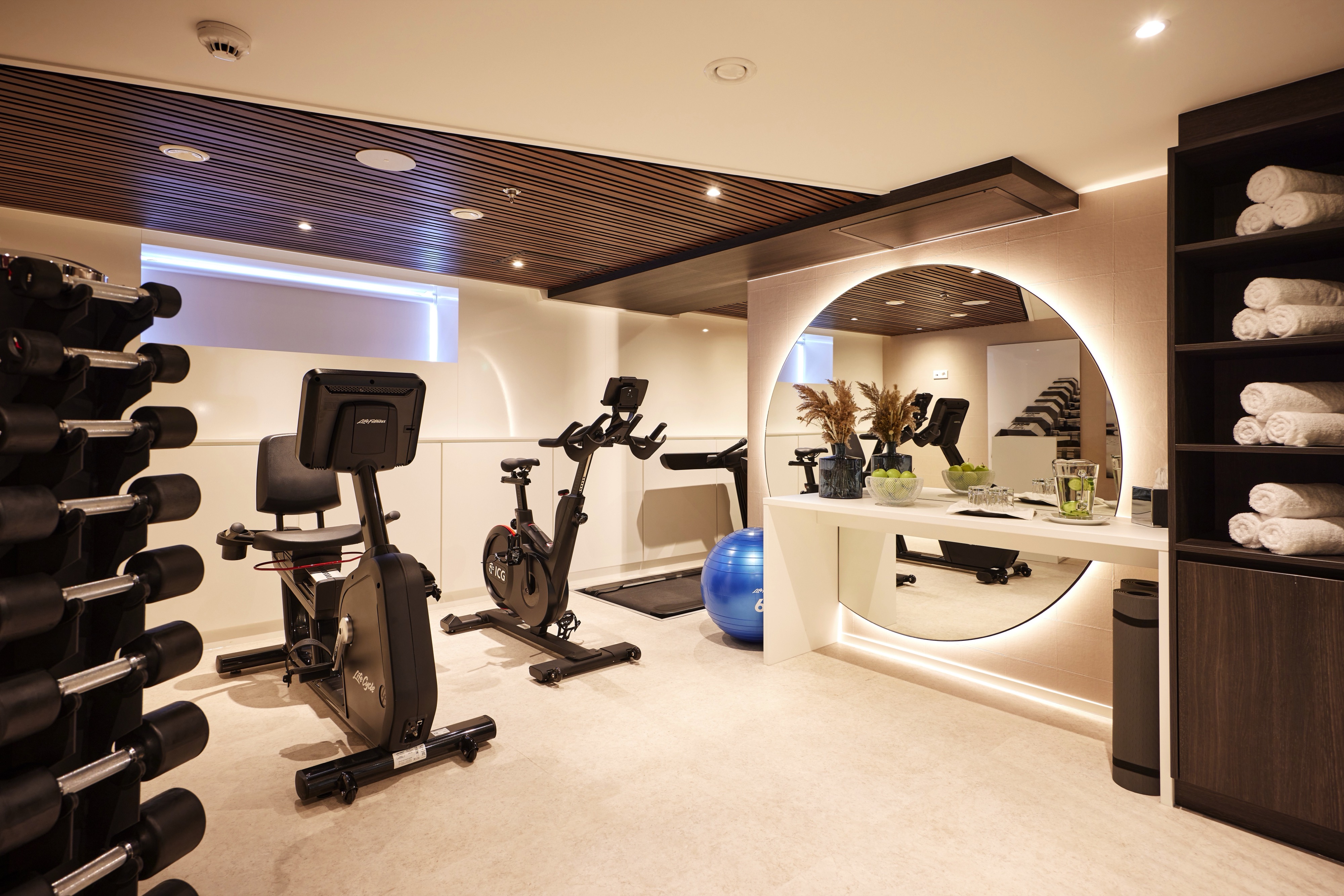 AMADEUS Riva Fitness Room ©Lueftner Cruises Amadeus Tom Yasny.jpg